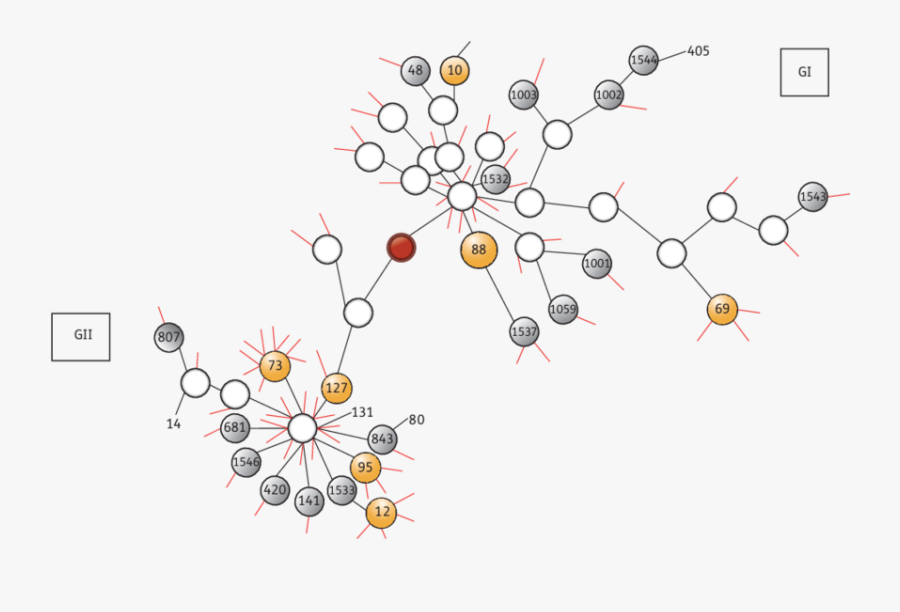 Network Representation Of 50% Consensus Of 10 Evolutionary, Transparent Clipart