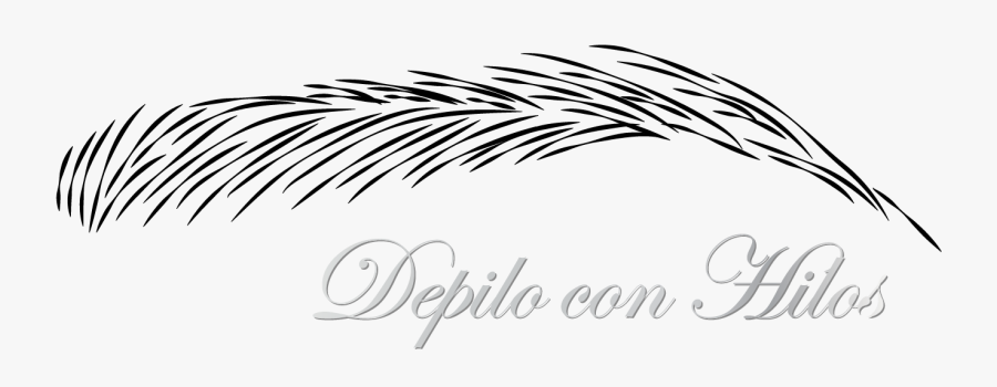 Illustration, Transparent Clipart