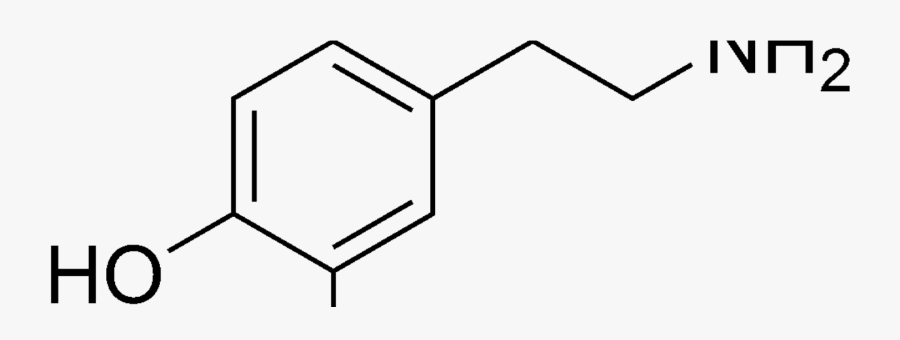 3 3 Dimethylbenzidine, Transparent Clipart