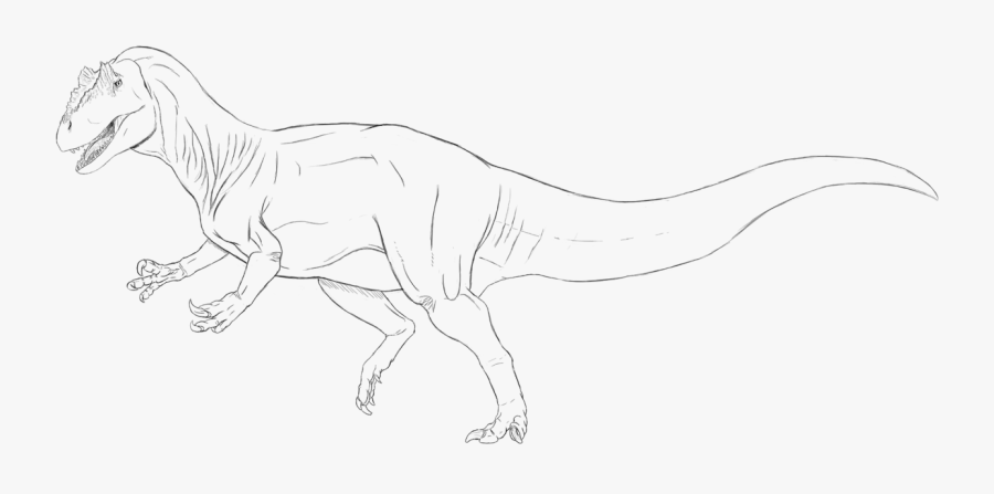 Clip Art Dinosaur Sketch - Allosaurus Dinosaur Line Art, Transparent Clipart