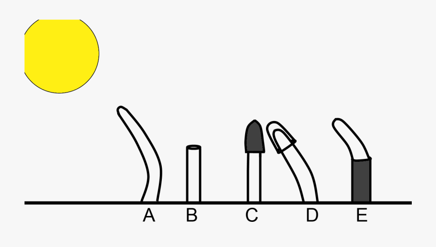 Clip Art, Transparent Clipart