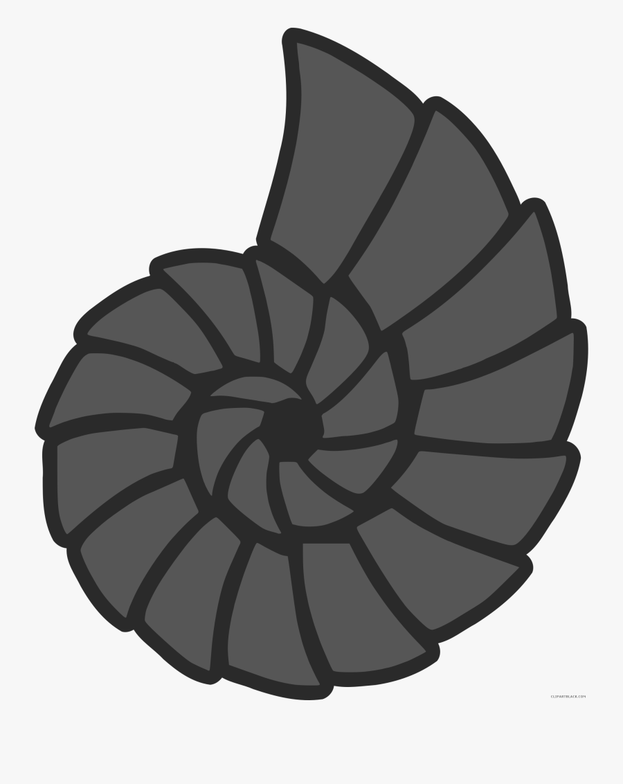 Seashell Animal Free Black White Clipart Images Clipartblack - Portable Network Graphics, Transparent Clipart