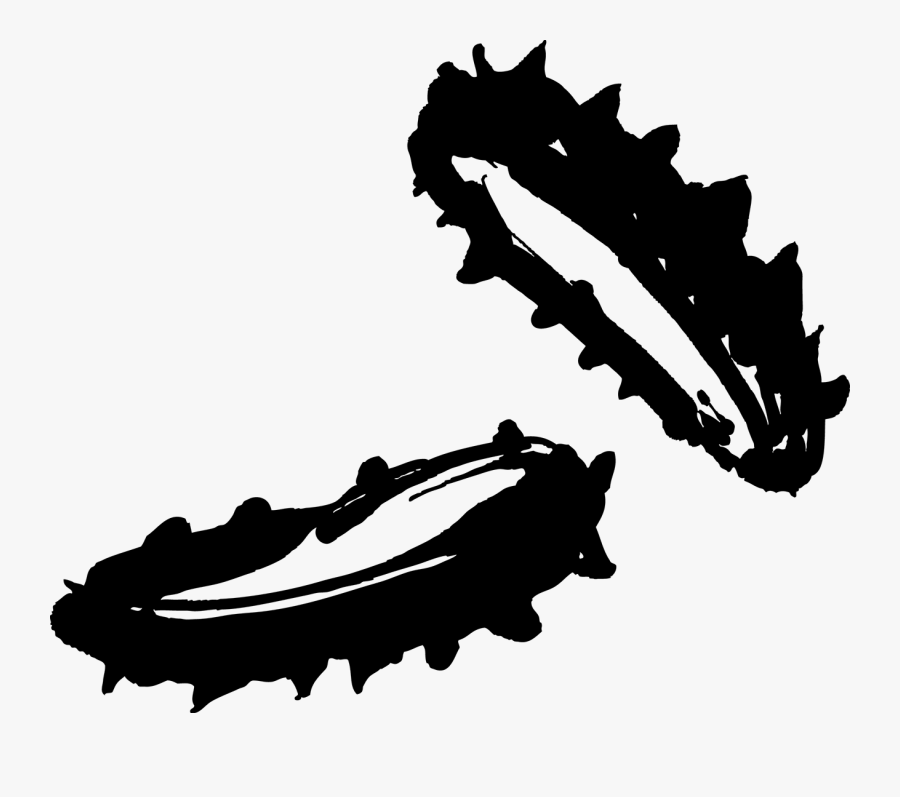 Sea As Food Seafood - Sea Cucumber, Transparent Clipart