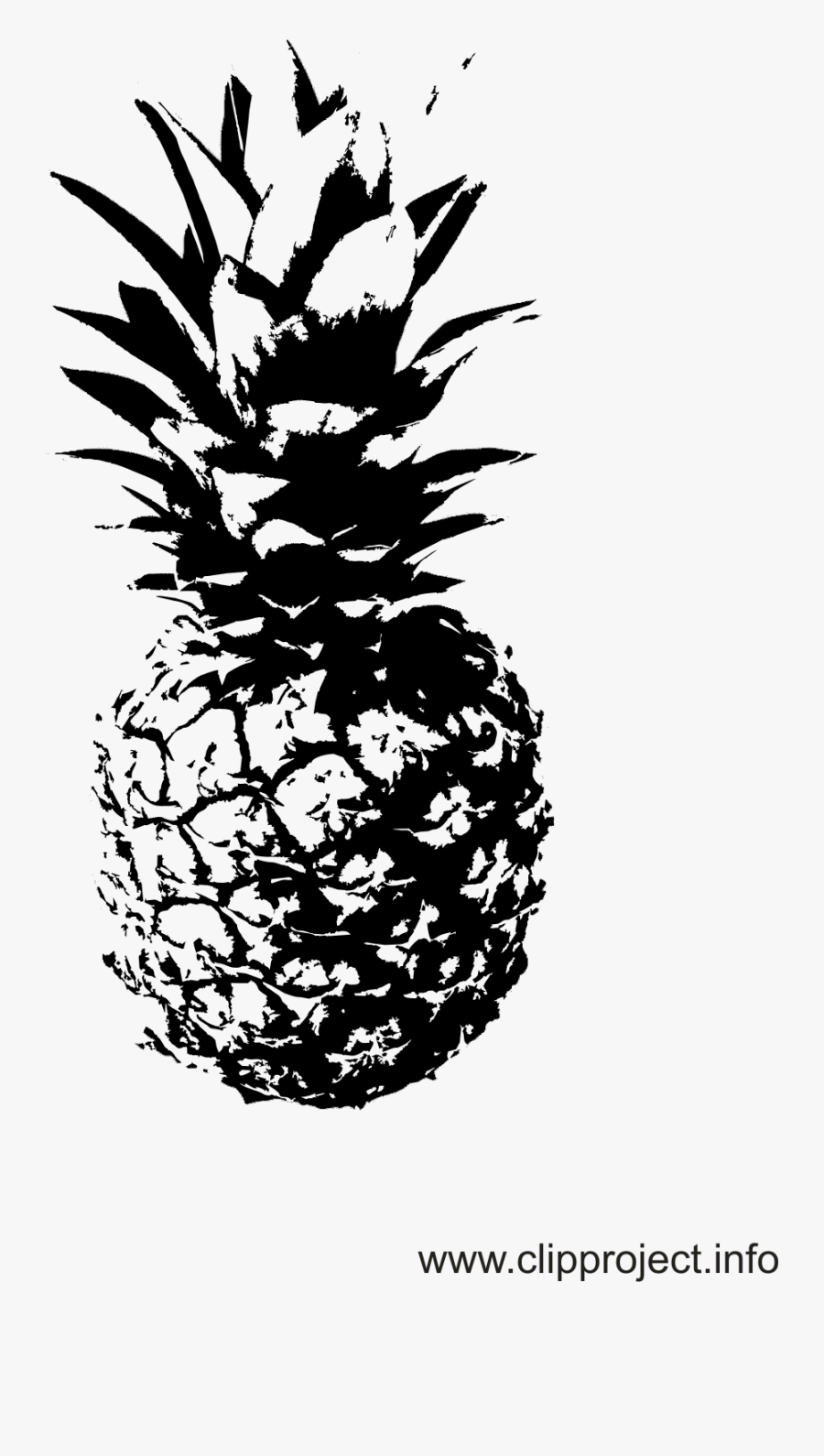 Drawing Geometry Pineapple - Schwarz Weiß Bilder Ananas, Transparent Clipart