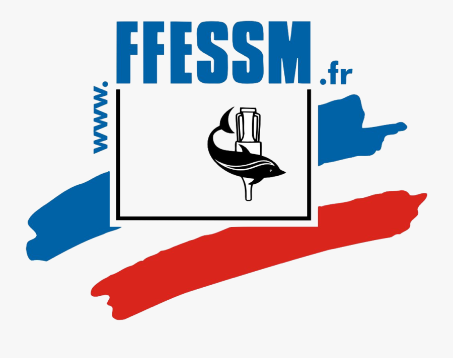 Fédération Française D'études Et De Sports Sous-marins, Transparent Clipart