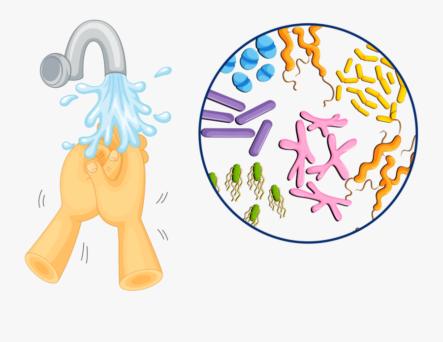Bacterias Das Maos Desenho, Transparent Clipart
