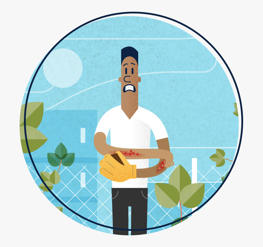 Illustration, Transparent Clipart