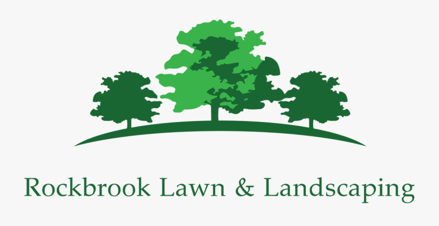 Picture, Transparent Clipart