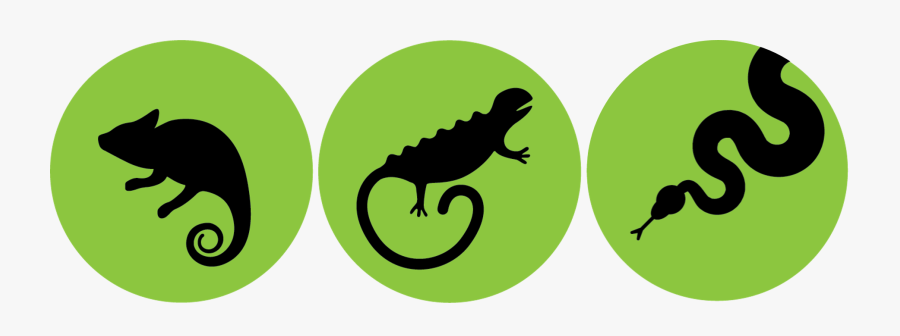 Cortex Ix - Circle, Transparent Clipart