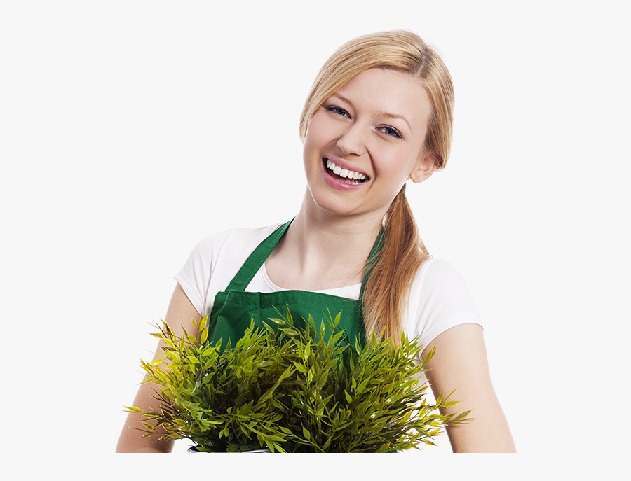 Stock Photography, Transparent Clipart