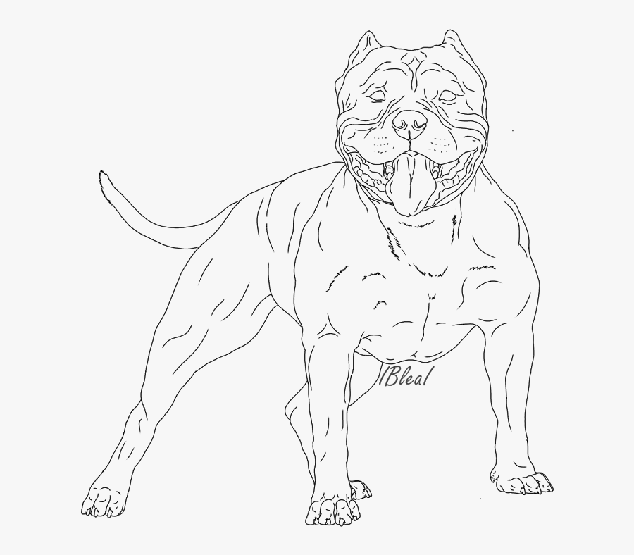Lineart Of A Bully - Line Art, Transparent Clipart