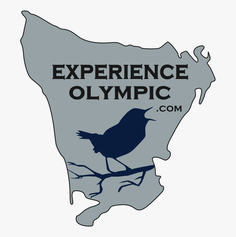 Experience Olympic Logo Shows An Outline Of The Entire, Transparent Clipart