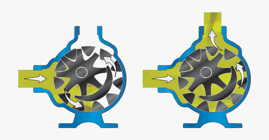 Internal Gear Pump Idler Star - Graphic Design, Transparent Clipart