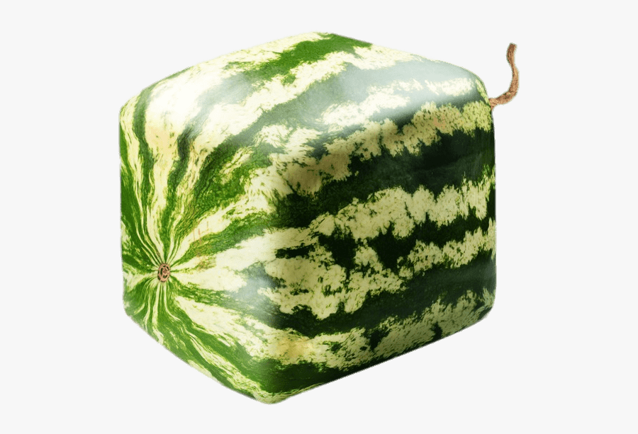 Square Watermelon - Japan Facts, Transparent Clipart