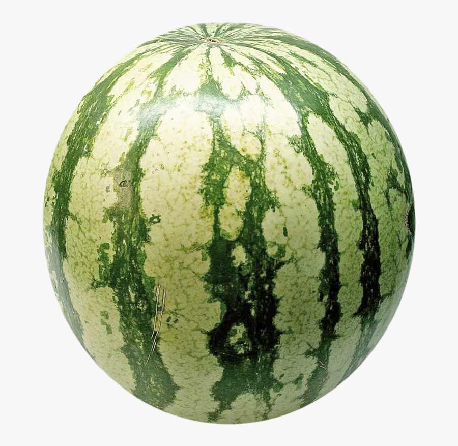 Transparent Watermelon Vector Png - High Resolution Watermelon Hd, Transparent Clipart