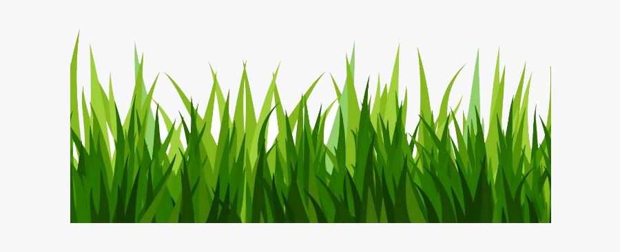 Grass Clipart Transparent Png, Transparent Clipart