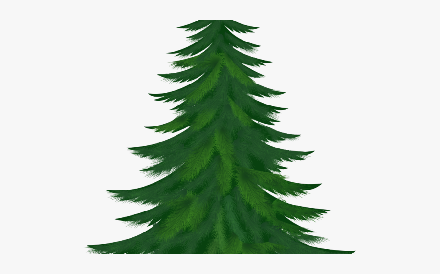 Grass Clipart Row - Transparent Background Pine Tree Clipart Png, Transparent Clipart