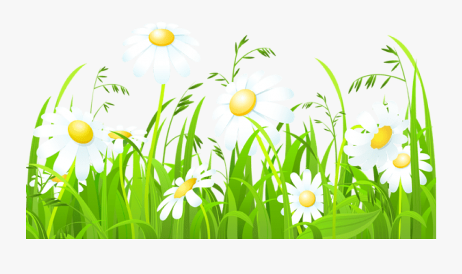 Free Png Download White Flowers And Grass Transparent - Grass Border Design Clipart, Transparent Clipart
