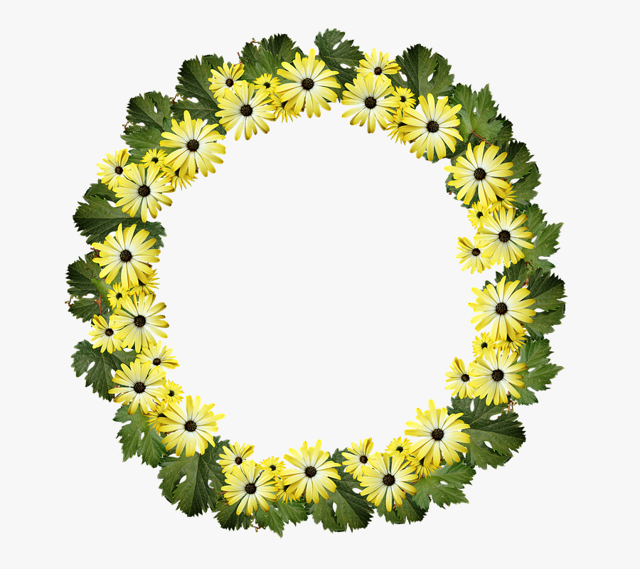 Frame, Wreath, Daisies, Flowers, Decoration, Border - Sunflower, Transparent Clipart