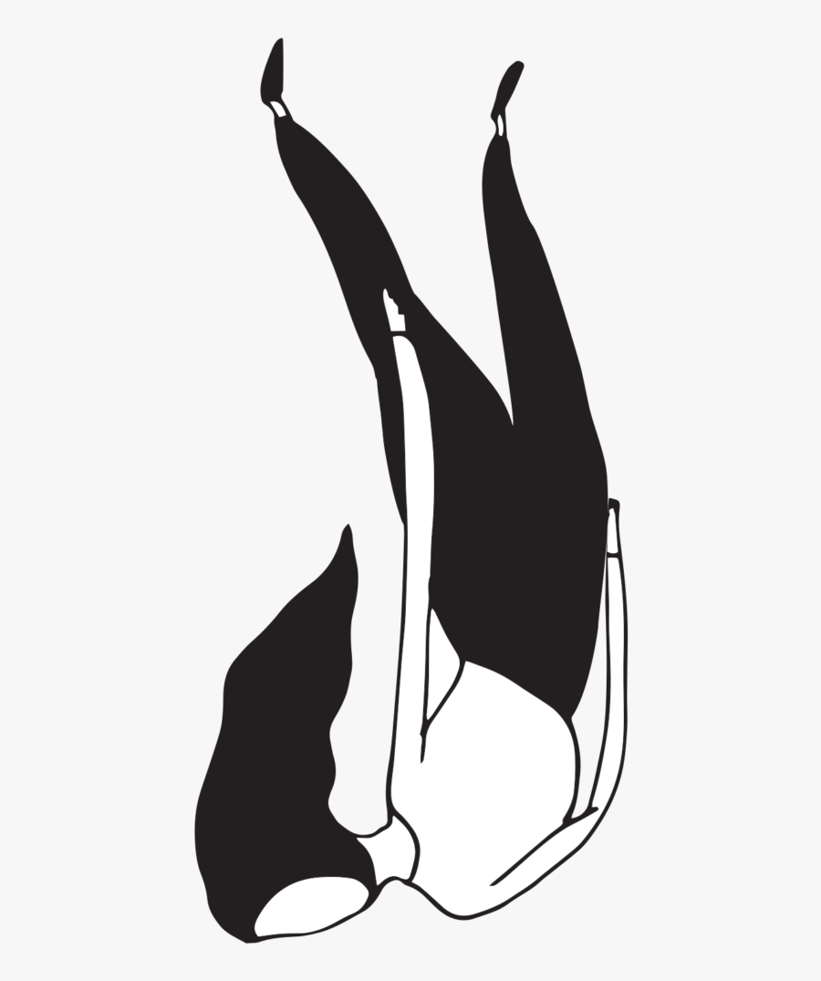 Illustration, Transparent Clipart