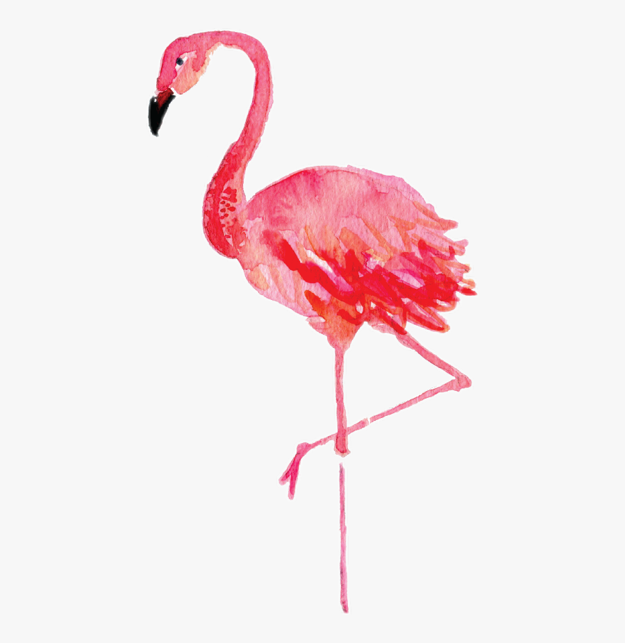 Watercolor Flamingo Clipart, Transparent Clipart