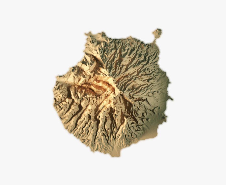 Tree, Transparent Clipart