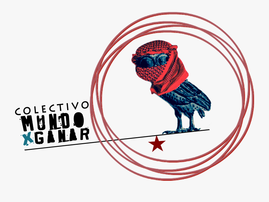 Circulo, Transparent Clipart