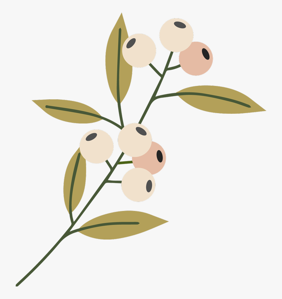 Image1 - Cartoon, Transparent Clipart