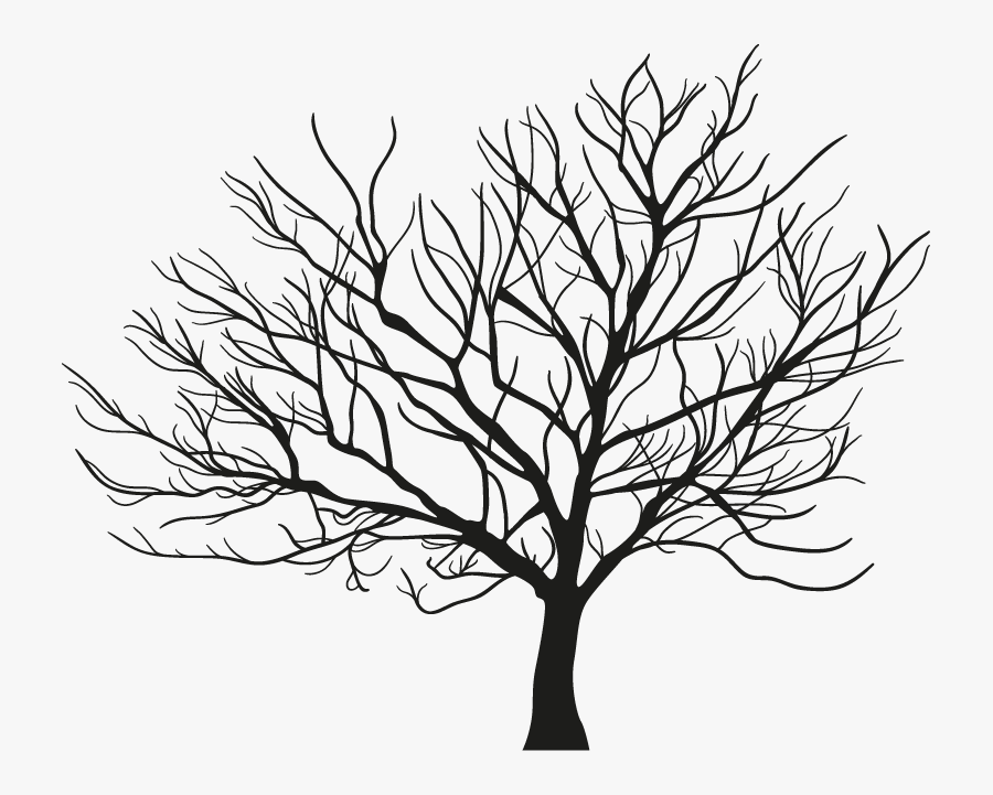 Download Tree Branch Winter - Winter Trees Vector , Free Transparent Clipart - ClipartKey