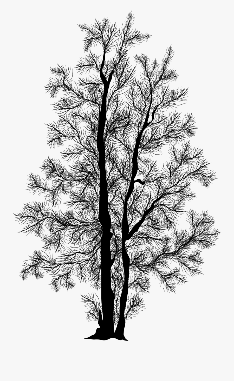 Clip Art In Winter Silhouette - Pond Pine, Transparent Clipart
