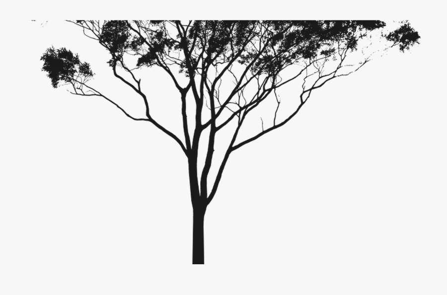 Transparent Woods Silhouette Png - Gum Tree Silhouette Png, Transparent Clipart