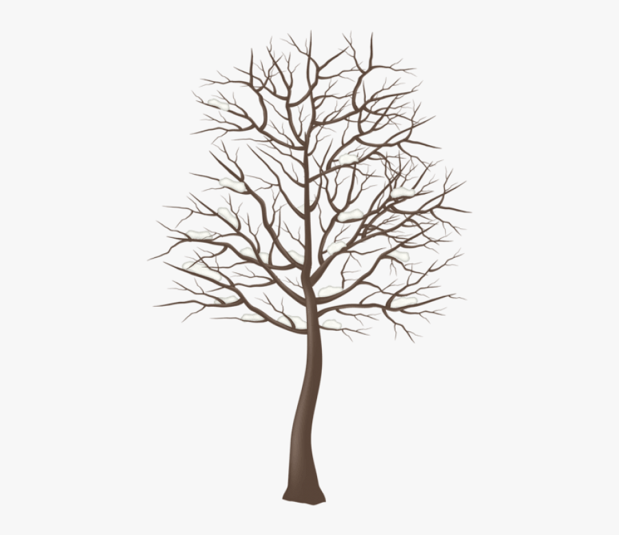 Snowy Tree Png, Transparent Clipart