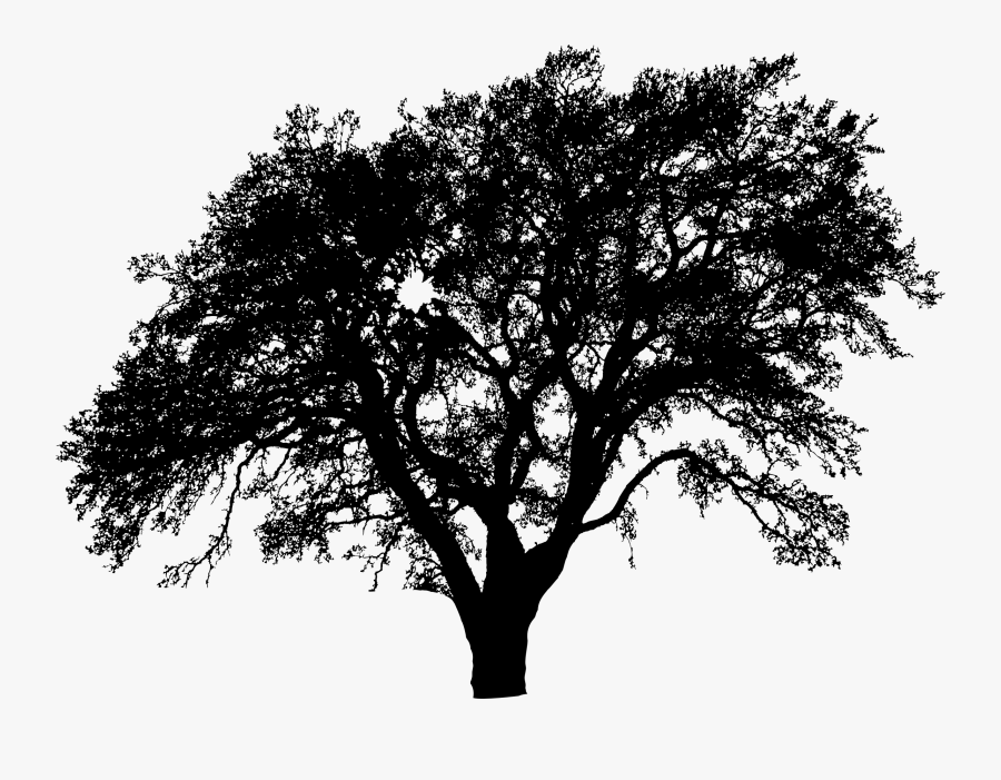 One More Tree Silhouette Clip Arts - Transparent Background Tree Silhouette Png, Transparent Clipart