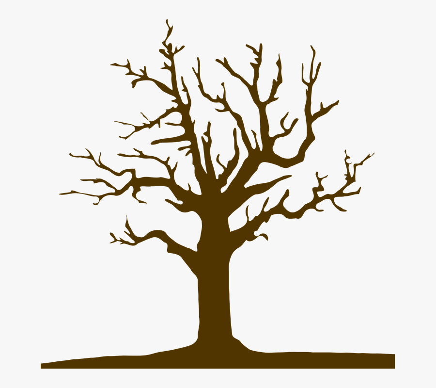 Tree, Logo, Nature, Design, Symbol, Icon, Silhouette - ต้นไม้ Logo, Transparent Clipart