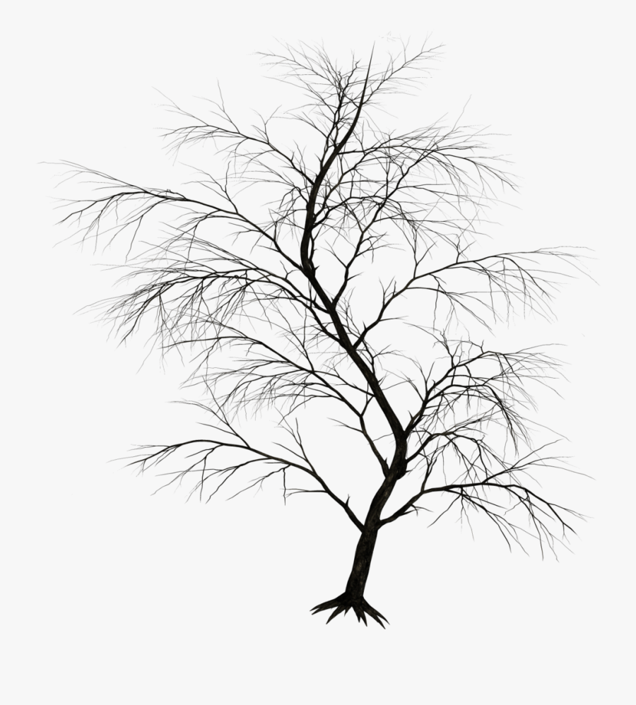 Dark Tree Png - Black Tree Png Drawing, Transparent Clipart