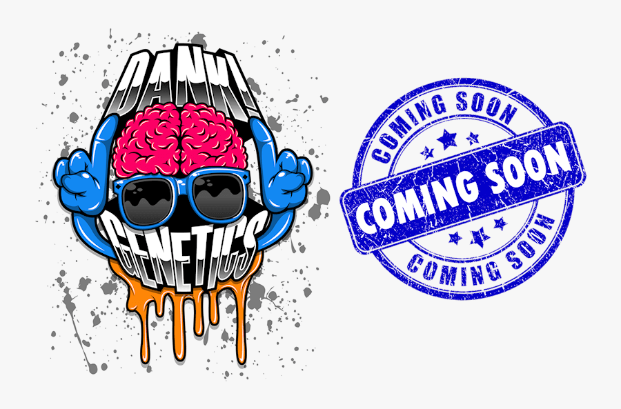 Fresh Orange, Transparent Clipart