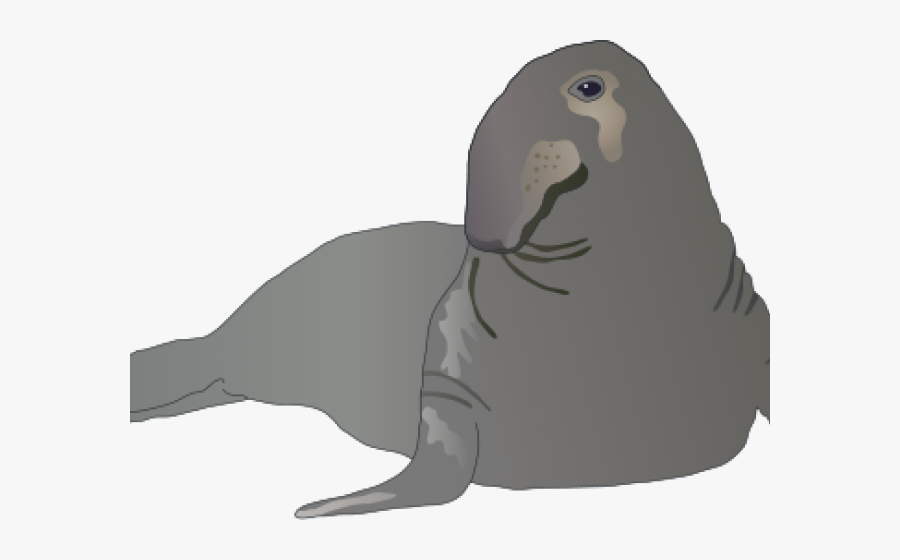 Punxsutawney Phil, Transparent Clipart