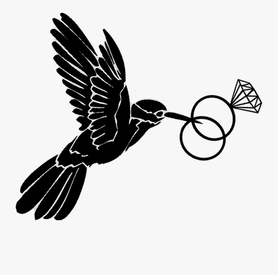 Coraciiformes, Transparent Clipart