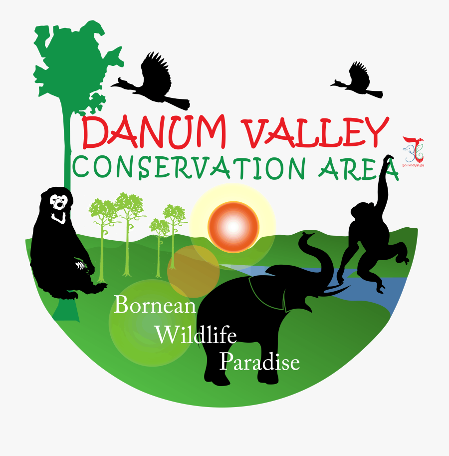 Indian Elephant, Transparent Clipart