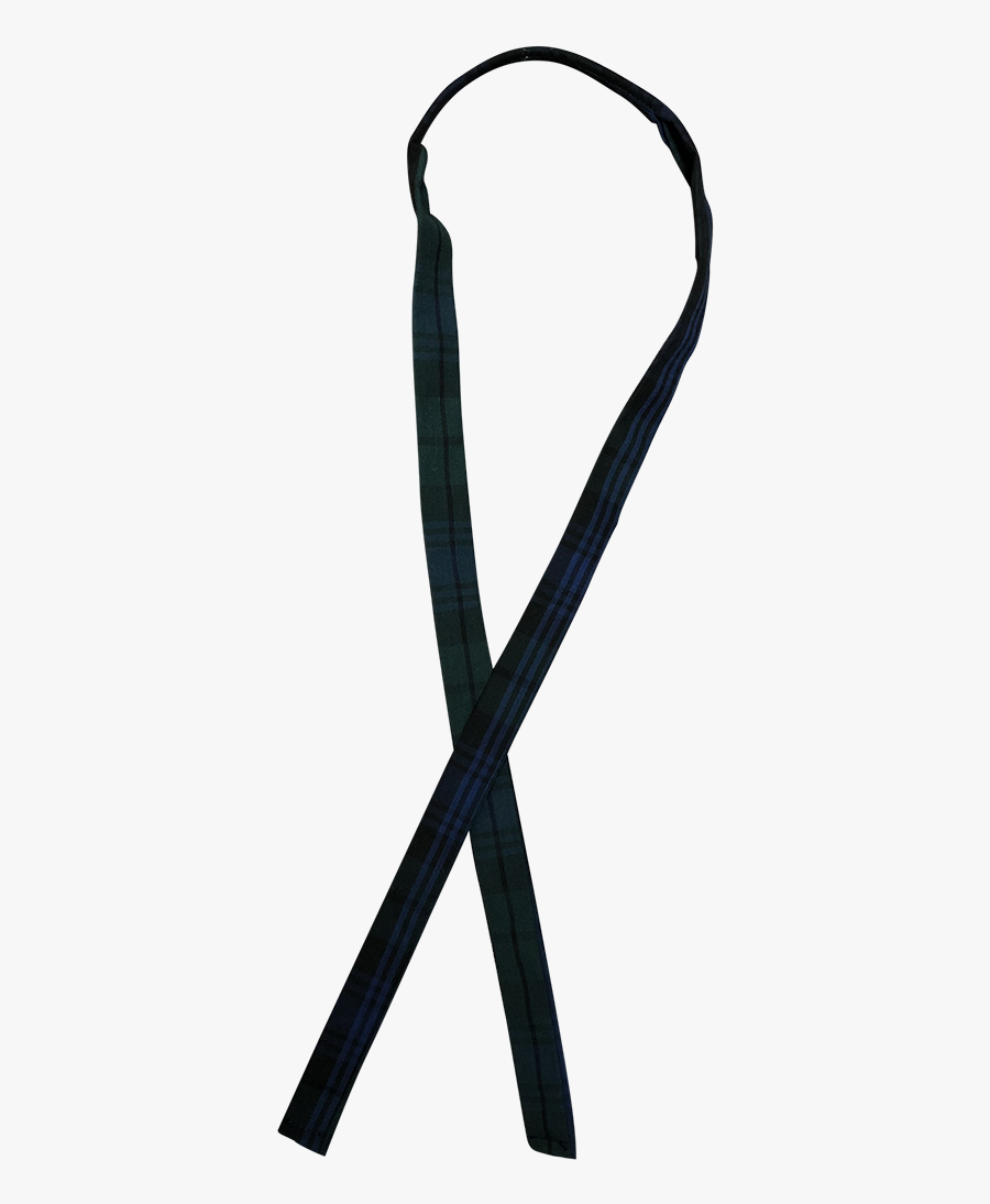 Musical Instrument, Transparent Clipart