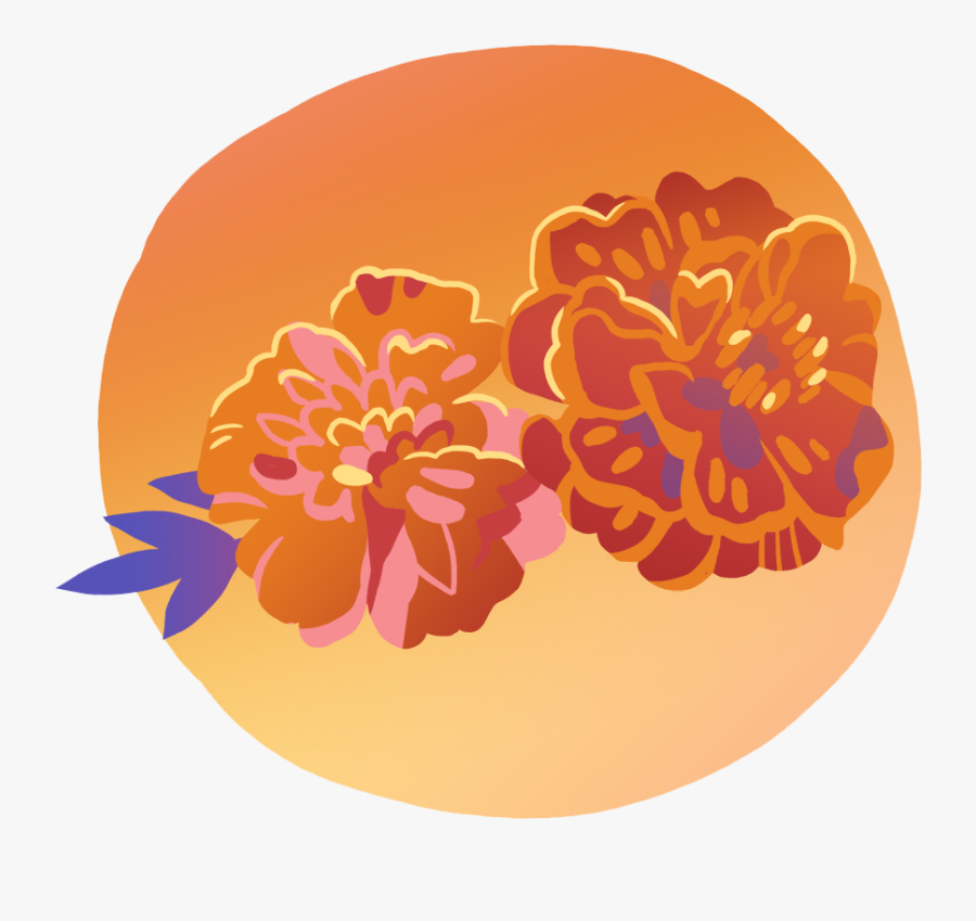 Japanese Camellia, Transparent Clipart