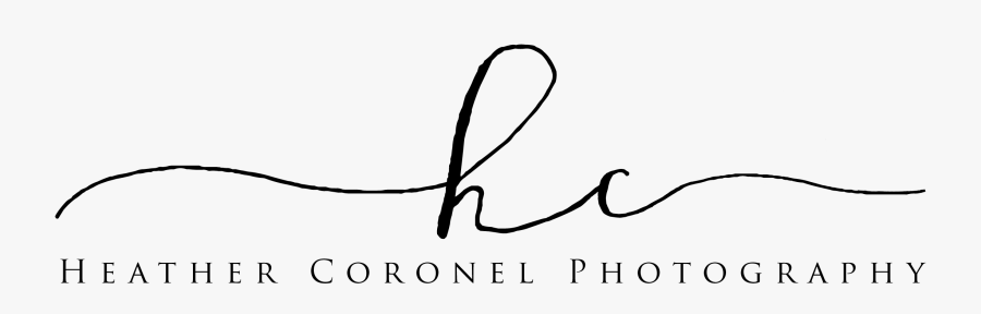 Logo - Calligraphy, Transparent Clipart