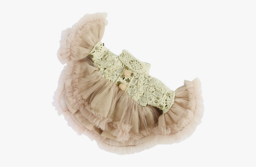 Invertebrate, Transparent Clipart