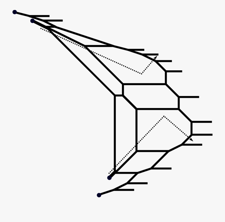 Line Art, Transparent Clipart