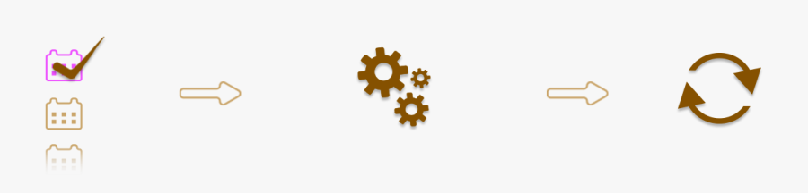 African Daisy, Transparent Clipart