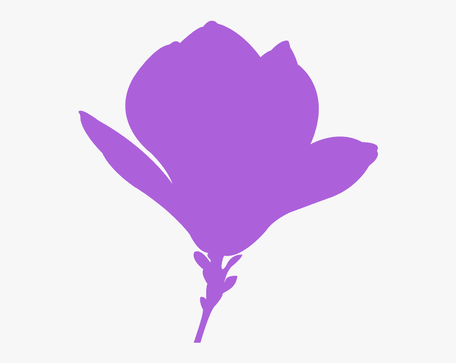 Magnolia Flower Silhouette, Transparent Clipart