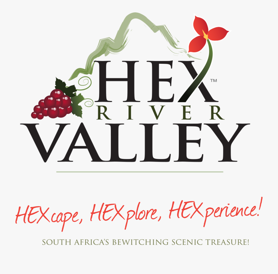 Valueoptions, Transparent Clipart