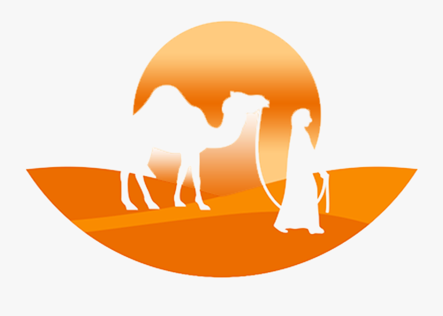 Morocco Desert Expeditions - Arabian Camel, Transparent Clipart