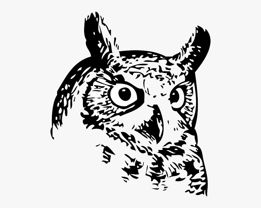 Owl Face Line Art, Transparent Clipart