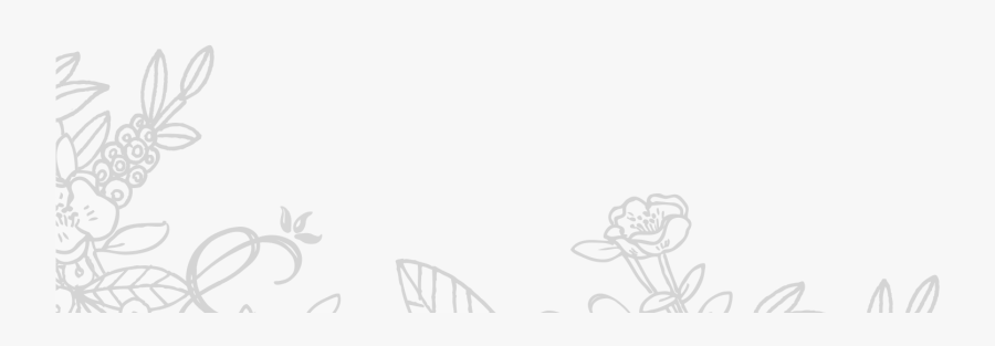 Sketch, Transparent Clipart